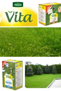 Газон - семена